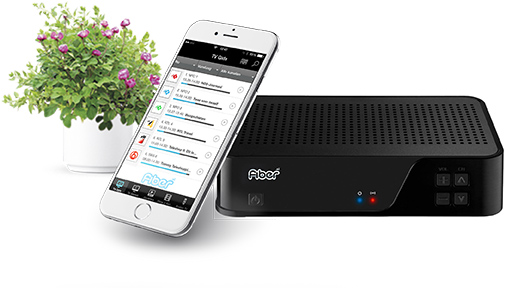 Smartphone & Settop box